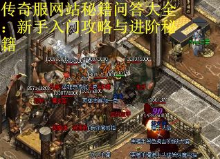 传奇服网站秘籍问答大全：新手入门攻略与进阶秘籍
