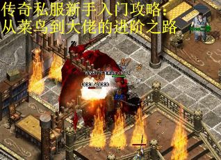 传奇私服新手入门攻略：从菜鸟到大佬的进阶之路
