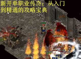 新开单职业传奇：从入门到精通的攻略宝典