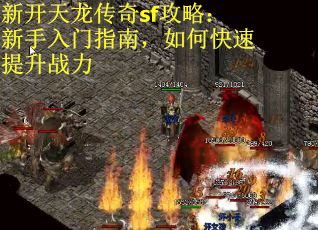 新开天龙传奇sf攻略：新手入门指南，如何快速提升战力