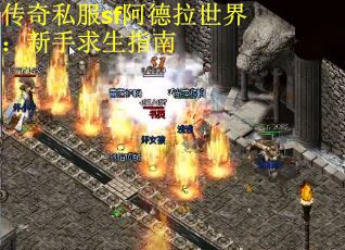 传奇私服sf阿德拉世界：新手求生指南