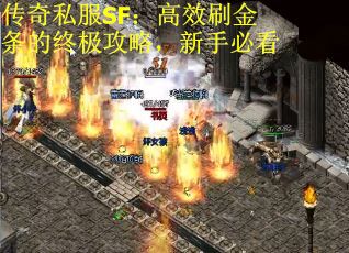 传奇私服SF：高效刷金条的终极攻略，新手必看