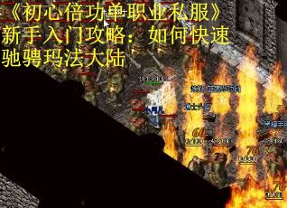 《初心倍功单职业私服》新手入门攻略：如何快速驰骋玛法大陆