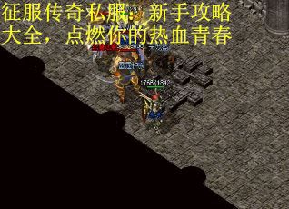 征服传奇私服：新手攻略大全，点燃你的热血青春