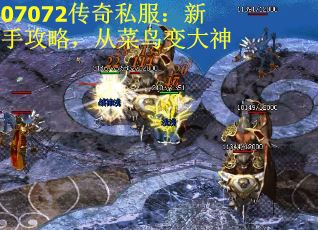 07072传奇私服：新手攻略，从菜鸟变大神