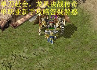 单刀赴会，龙凤决战传奇单职业新手攻略答疑解惑