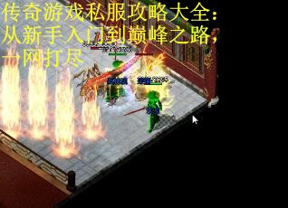 传奇游戏私服攻略大全：从新手入门到巅峰之路，一网打尽