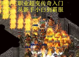 新版三职业超变传奇入门宝典：从新手小白到霸服王者