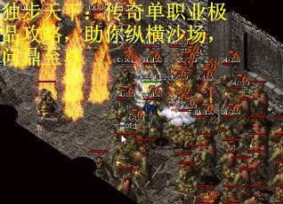 独步天下：传奇单职业极品攻略，助你纵横沙场，问鼎至尊