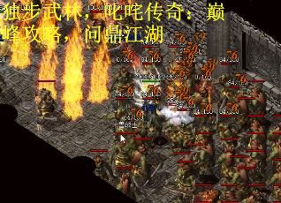 独步武林，叱咤传奇：巅峰攻略，问鼎江湖