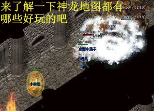 来了解一下神龙地图都有哪些好玩的吧