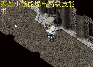 哪些小怪能爆出高级技能书