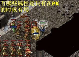 有哪些属性是只有在PK的时候有用