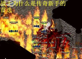 战士为什么是传奇新手的首选