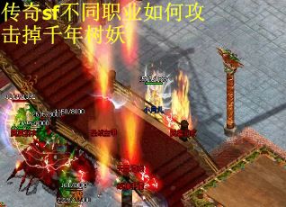 传奇sf不同职业如何攻击掉千年树妖