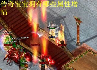传奇宝宝拥有哪些属性增幅