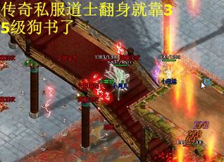 传奇私服道士翻身就靠35级狗书了