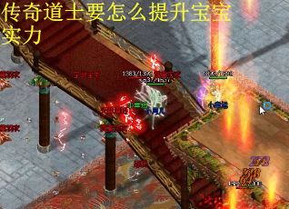 传奇道士要怎么提升宝宝实力