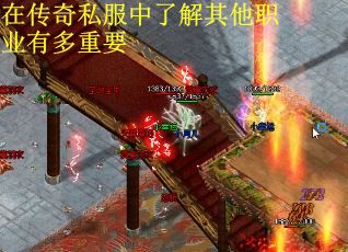 在传奇私服中了解其他职业有多重要