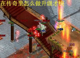 在传奇里怎么做升级才快