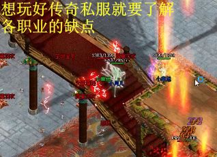 想玩好传奇私服就要了解各职业的缺点