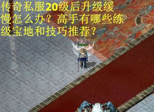 传奇私服20级后升级缓慢怎么办？高手有哪些练级宝地和技巧推荐？