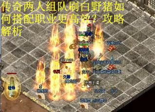 传奇两人组队刷白野猪如何搭配职业更高效？攻略解析