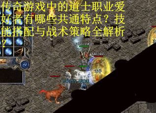 传奇游戏中的道士职业爱好者有哪些共通特点？技能搭配与战术策略全解析？