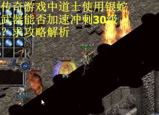 传奇游戏中道士使用银蛇武器能否加速冲刺30级？求攻略解析