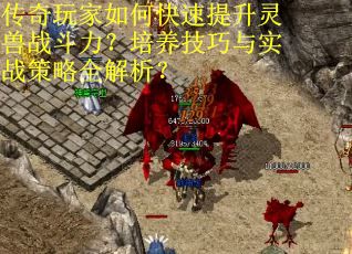 传奇玩家如何快速提升灵兽战斗力？培养技巧与实战策略全解析？