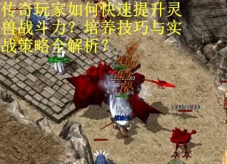 传奇玩家如何快速提升灵兽战斗力？培养技巧与实战策略全解析？