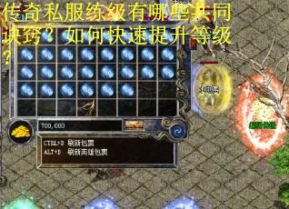 传奇私服练级有哪些共同诀窍？如何快速提升等级？