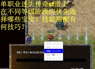 单职业迷失传奇sf道士在不同等级阶段应优先选择哪些宝宝？技能搭配有何技巧？