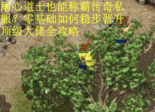 耐心道士也能称霸传奇私服？零基础如何稳步晋升顶级大佬全攻略