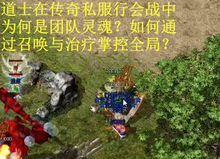 道士在传奇私服行会战中为何是团队灵魂？如何通过召唤与治疗掌控全局？
