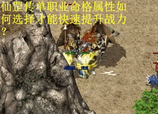 仙罡传单职业命格属性如何选择才能快速提升战力？