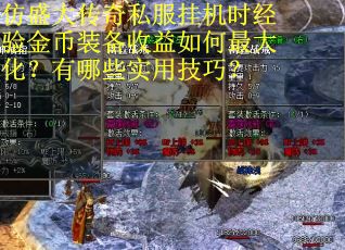 仿盛大传奇私服挂机时经验金币装备收益如何最大化？有哪些实用技巧？