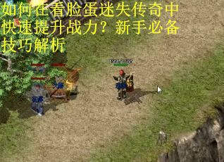 如何在看脸蛋迷失传奇中快速提升战力？新手必备技巧解析
