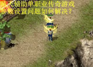 晴天辅助单职业传奇游戏参数设置问题如何解决？