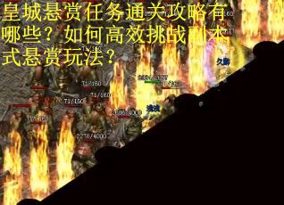 皇城悬赏任务通关攻略有哪些？如何高效挑战副本式悬赏玩法？