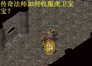 传奇法师如何收服虎卫宝宝？